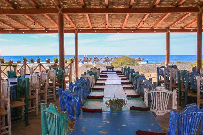 Magical Todos Santos Tour, Camel Ranch, Lunch and Tequila - Hotel California: a famous stop with room to breathe