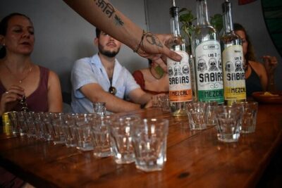 Masterclass Mezcal Tastings at El Tasting Room - Timing, Group Size, and Getting There on Your Own