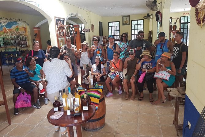 Mayan Village and Tequila Tour - Tequila at Hacienda Antigua: process tour, tasting, and snacks