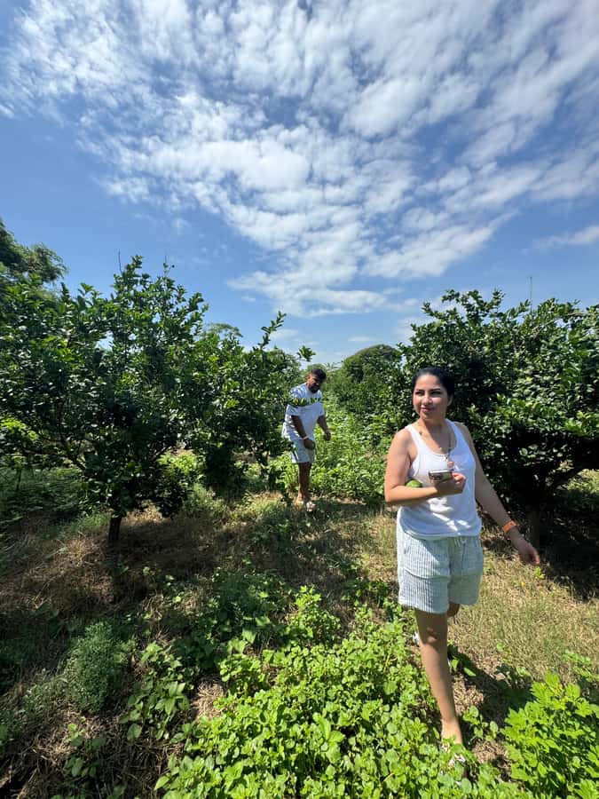 Mazatlán: Fruit Tour with Lunch and Mezcal Tasting - Orchard time: seeing fruit trees up close and sampling as you go