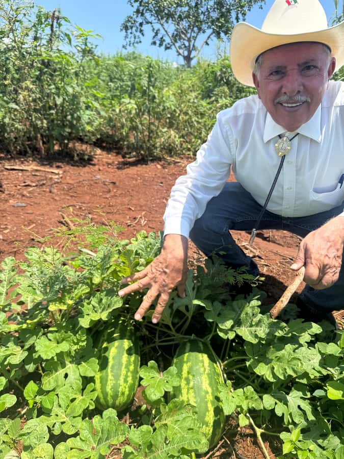 Mazatlán: Fruit Tour with Lunch and Mezcal Tasting - What to expect from the fruit tasting itself