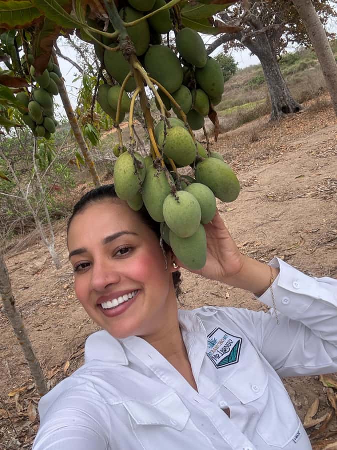 Mazatlán: Fruit Tour with Lunch and Mezcal Tasting - Mezcal tasting: learn the process, then try different flavors