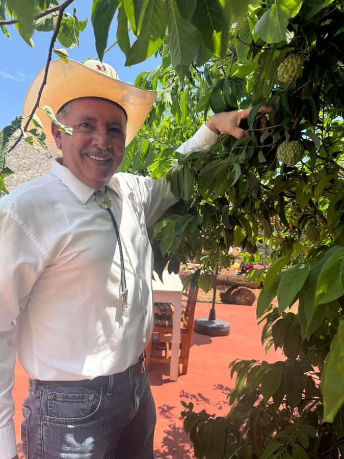 Mazatlán: Fruit Tour with Lunch and Mezcal Tasting - Drinks, pace, and what to bring so the day stays pleasant