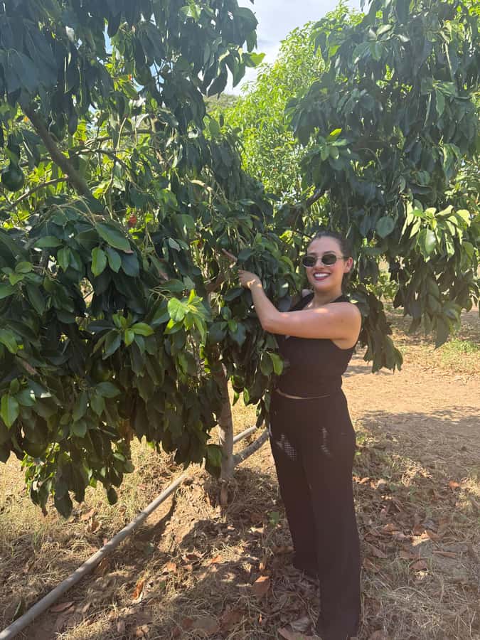 Mazatlán: Fruit Tour with Lunch and Mezcal Tasting - Price and value: what $58 covers (and why it can be a good deal)