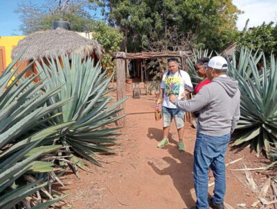 Mazatlan: Mezcal Factory Tour with Tasting and Lunch - The mezcal factory walkthrough: harvesting, baking, extraction, fermentation, distillation, aging, bottling