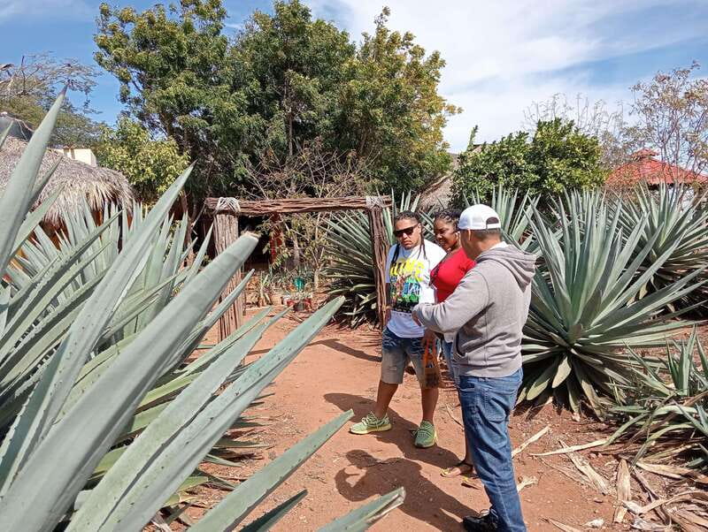 Mazatlan: Mezcal Factory Tour with Tasting and Lunch - After lunch: shopping time, optional horse riding, and that extra ranch energy