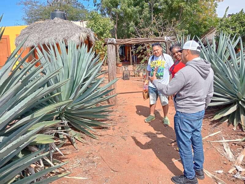 Mazatlan: Mezcal Factory Tour with Tasting and Lunch - Price and logistics for a 3-hour Mazatlán mezcal experience