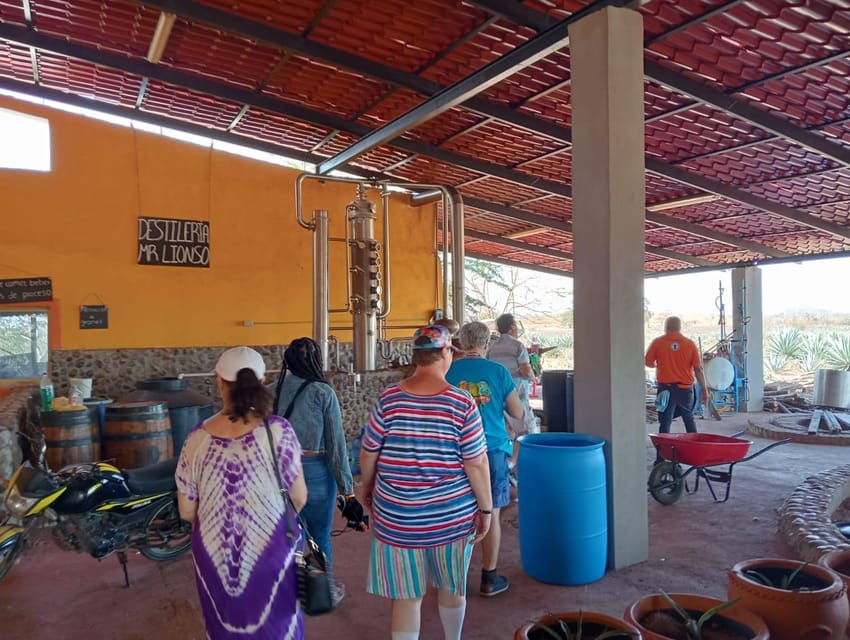 Mazatlan: Mezcal Factory Tour with Tasting and Lunch - Who should book this mezcal tour (and who should skip it)