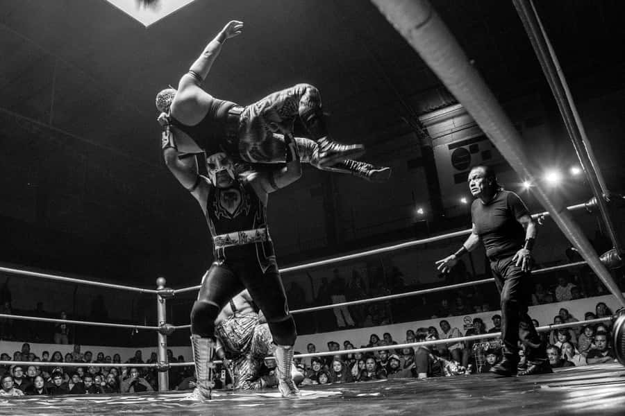 Mexico City: Mexican evening, lucha libre, and tequila - Key things that make this a great Mexico City lucha libre night