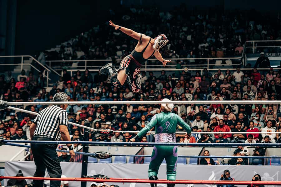 Mexico City: Mexican evening, lucha libre, and tequila - Cantina tastings: tequila and mezcal with a cultural story