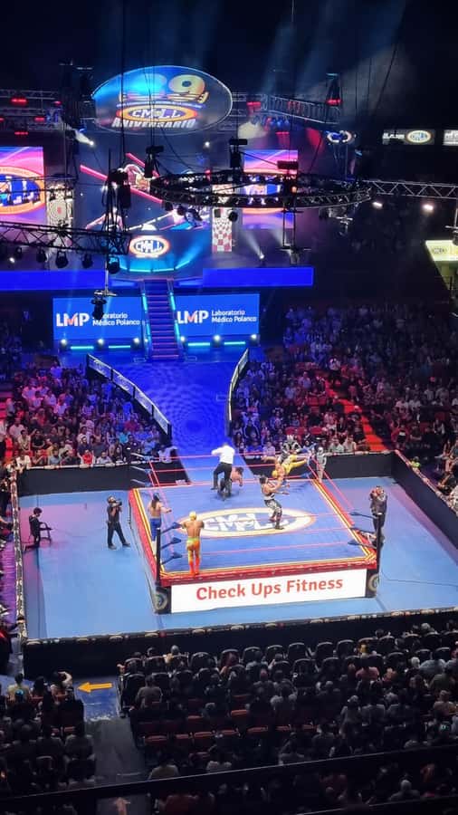 Mexico City: Mexican evening, lucha libre, and tequila - Price and value: what $53 really buys you