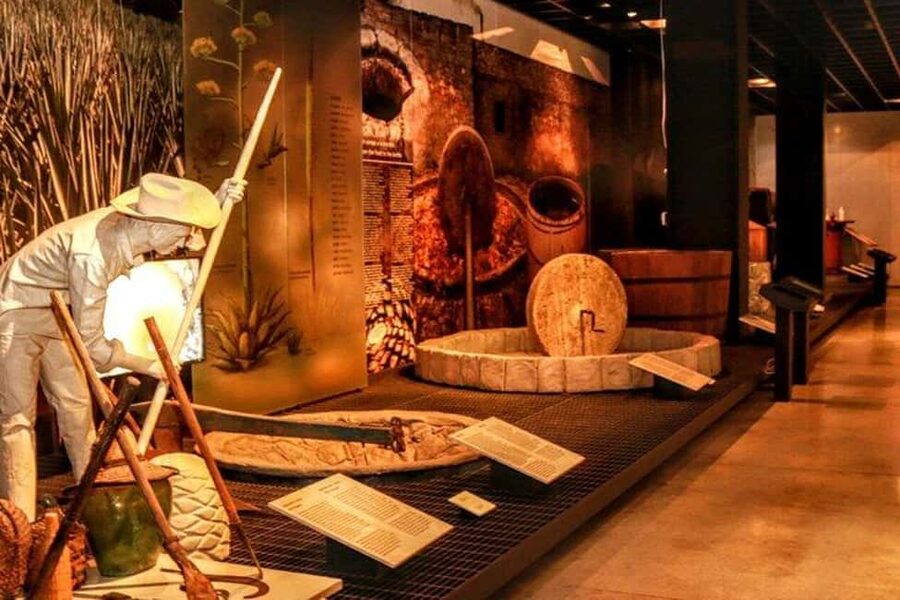 Mexico City: Tequila and Mezcal Museum Ticket with Tastings - Key highlights you’ll care about