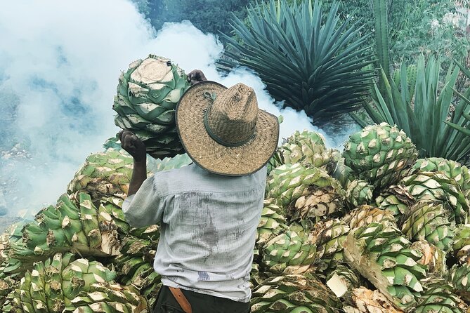 Mezcal Day Experience - Key points before you go