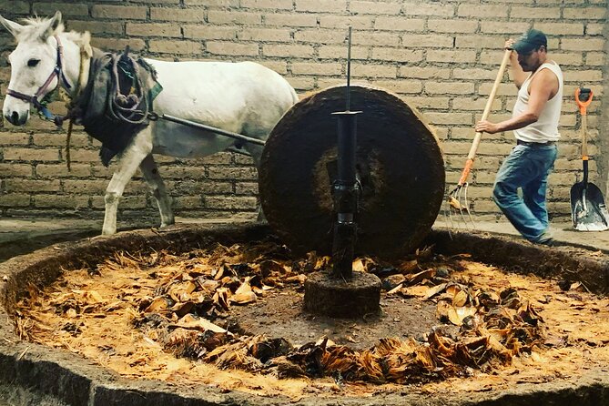 Mezcal Day Experience - San Baltazar Guelavila: cooking in the mountains and spotting wild agave