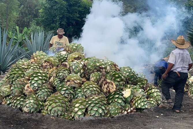 Mezcal Day Experience - Logistics that matter: meeting point, timing, and private group feel