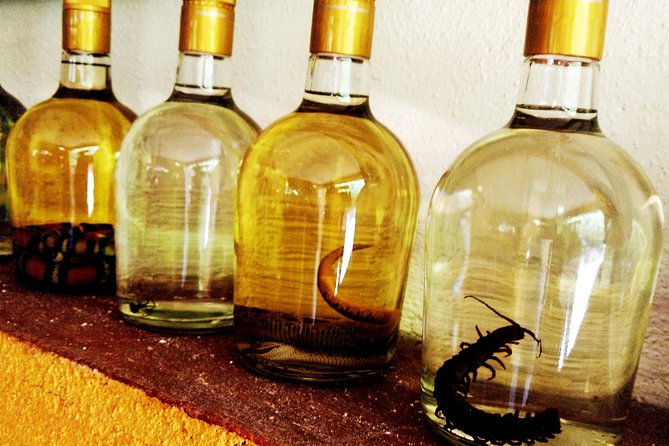 Mezcal Factory Tasting Learning Experience Drink Lunch and More - Who This Mezcal Tour Is Best For (and Who Should Skip It)