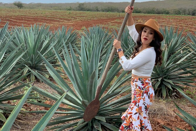 Mezcal Food Tasting Tour with Lunch Included - Key Highlights You’ll Notice Fast