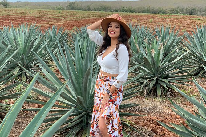 Mezcal Food Tasting Tour with Lunch Included - Agave Plantation Time: Seeing the Plant Before You Taste the Spirit