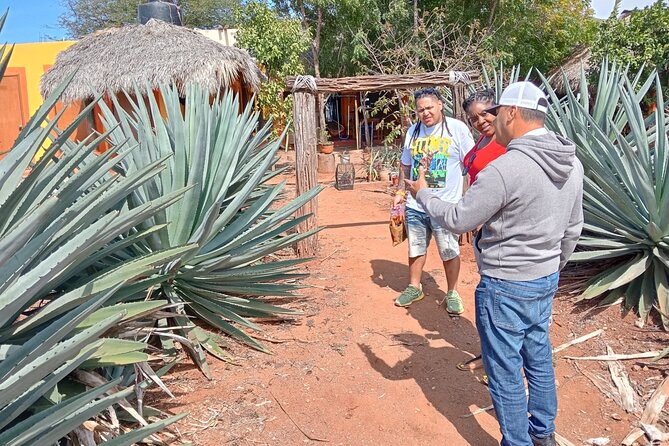 Mezcal Food Tasting Tour with Lunch Included - The Tasting Flight: White, Reposado, and Flavored Mezcal Styles