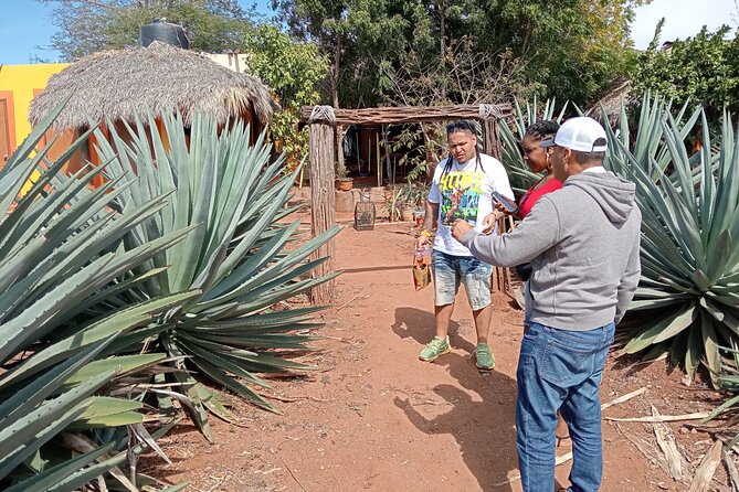Mezcal Food Tasting Tour with Lunch Included - Lunch Included in Mazatlán: Machaca Burritos, Handmade Tortillas, and Mezcal Flambé Cheese
