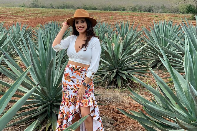 Mezcal Food Tasting Tour with Lunch Included - Inside the Mezcal Factory: The Process You’re Actually Paying For