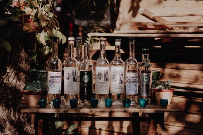 Mezcal & Mole by a Certified Sommelier - Where you’ll taste mezcal and mole in Oaxaca City