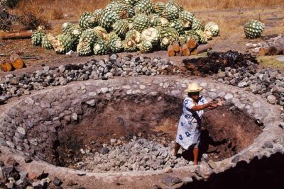 Mezcal Tasting -Masterclass + Blind tasting- - ICAVI Tasting Room in Centro: the learning-friendly setting