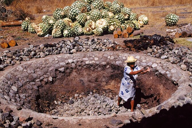 Mezcal Tasting -Masterclass + Blind tasting- - ICAVI Tasting Room in Centro: the learning-friendly setting