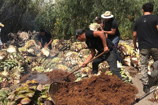 Mezcal Tour Oaxaca - Inside the palenque: a working mezcal distillery near Oaxaca