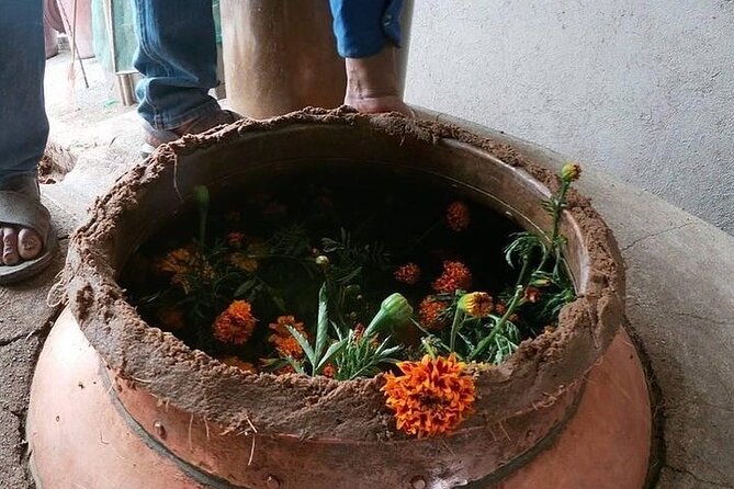 Mezcal Tour Oaxaca - Pulqueria stop: why pulque belongs in a mezcal day