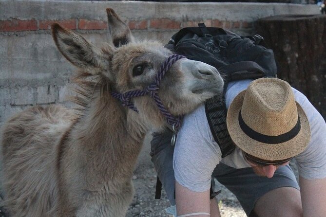 Mezcal Tour Oaxaca - Transportation, Group Size, and Language: The Comfort Value