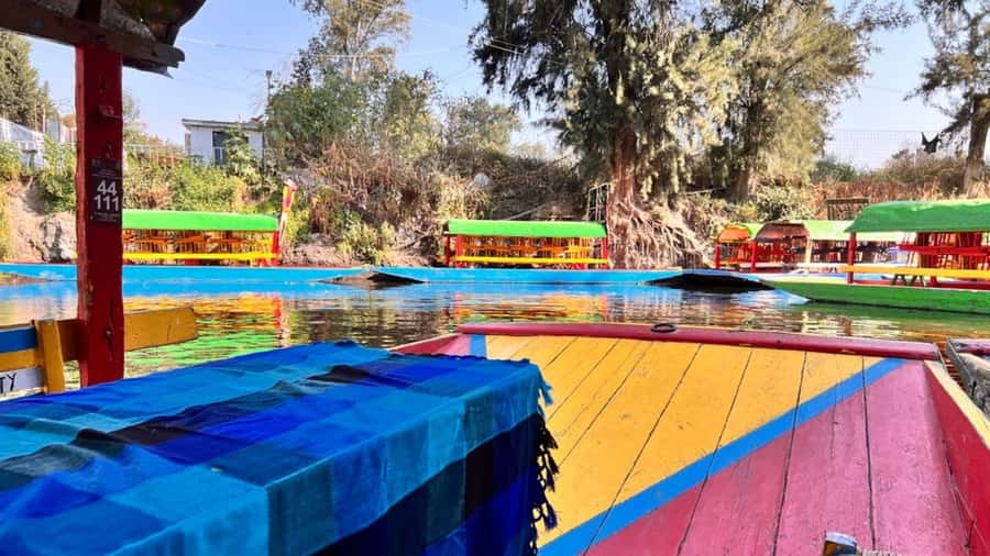 Music and Tequila in Xochimilco visits Coyoacán and CU - UNAM at Ciudad Universitaria: Siqueiros and Diego Rivera murals in the same day