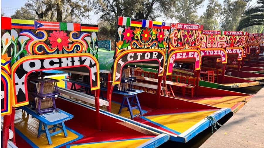 Music and Tequila in Xochimilco visits Coyoacán and CU - Coyoacán: cobblestones, squares, and a Frida Kahlo museum exterior moment