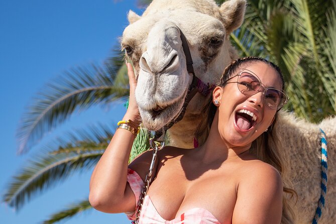 NEW! Combo Camel Beach Ride and UTV 4X4 Cabo Adventure, Tequila & - Tequila Tasting and Mexican Buffet: simple comfort before the dirt