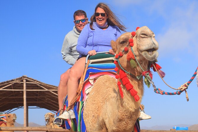 NEW! Combo Camel Beach Ride and UTV 4X4 Cabo Adventure, Tequila & - Timing, pickup, and the cruise-port reality