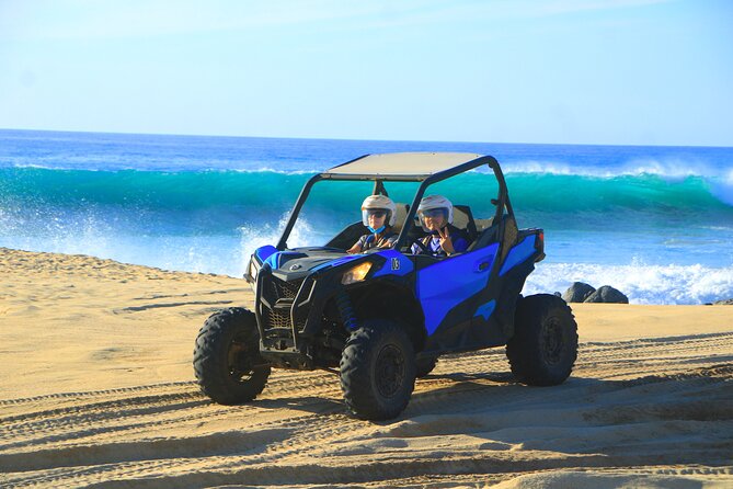 NEW! Combo Camel Beach Ride and UTV 4X4 Cabo Adventure, Tequila & - Should you book this Cabo camel + 4x4 combo?