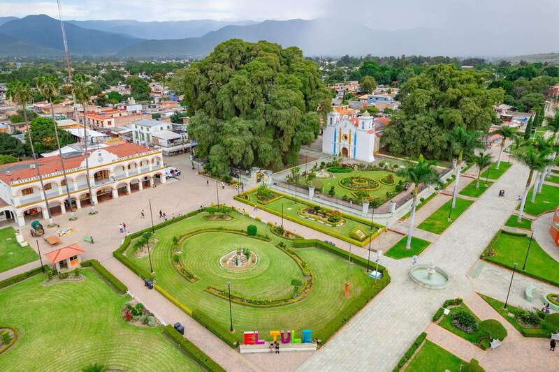 Oaxaca: El Tule tree, Teotitlan Village & Mezcal Tour - Key highlights you’ll care about