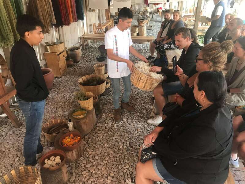 Oaxaca: El Tule tree, Teotitlan Village & Mezcal Tour - Should you book Oaxaca: El Tule Tree, Teotitlán Village & Mezcal Tour?