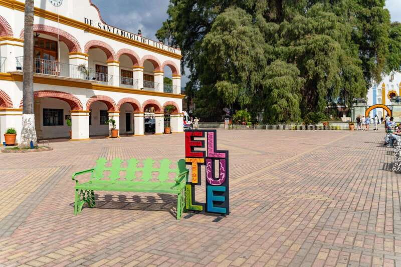 Oaxaca: El Tule tree, Teotitlan Village & Mezcal Tour - From your Oaxaca hotel to Santa María del Tule