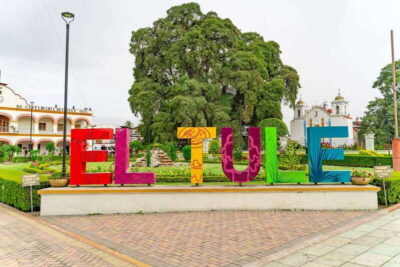 Oaxaca: El Tule tree, Teotitlan Village & Mezcal Tour - The Tree of Tule: where imagination actually works