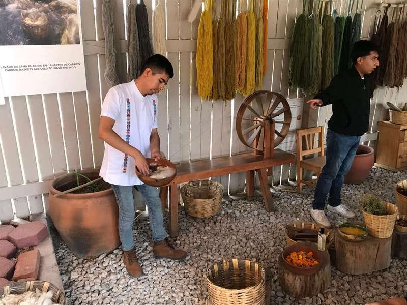 Oaxaca: El Tule tree, Teotitlan Village & Mezcal Tour - Guides, language, and how the day stays smooth