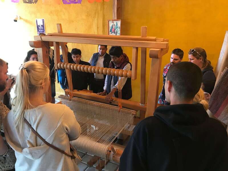Oaxaca: El Tule tree, Teotitlan Village & Mezcal Tour - Who should book this Oaxaca trip