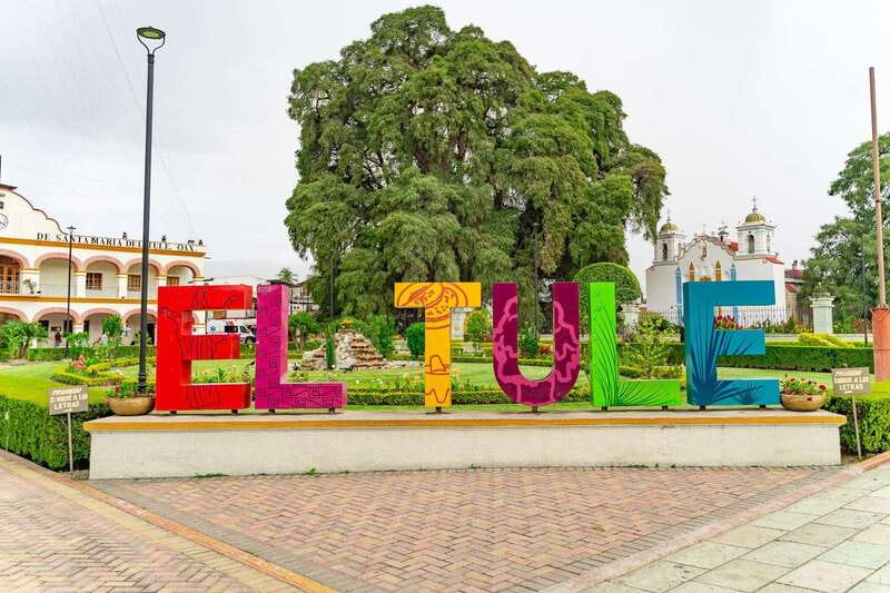 Oaxaca: El Tule tree, Teotitlan Village & Mezcal Tour - The Tree of Tule: where imagination actually works