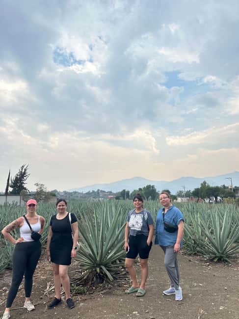 Oaxaca: Hierve el Agua & Mezcal Distillery Small-Group Tour - Getting to Hierve el Agua from Jardín Etnobotánico without the stress