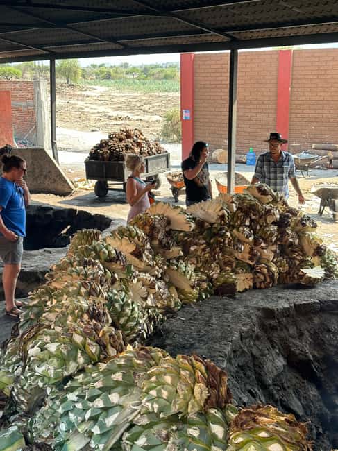 Oaxaca: Hierve el Agua & Mezcal Distillery Small-Group Tour - Lunch choices at Hierve el Agua: street food vs buffet