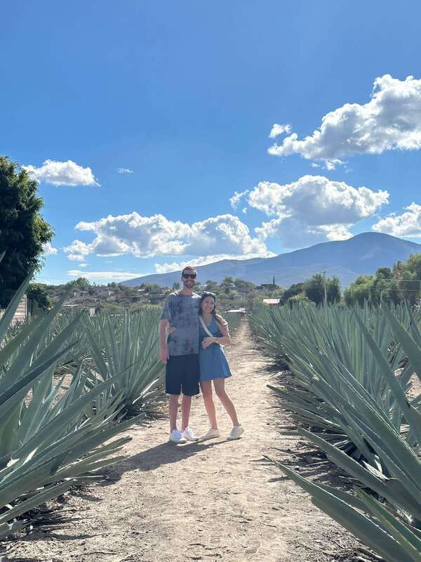 Oaxaca: Hierve el Agua & Mezcal Distillery Small-Group Tour - Small-group transport and timing: why this day feels “manageable”