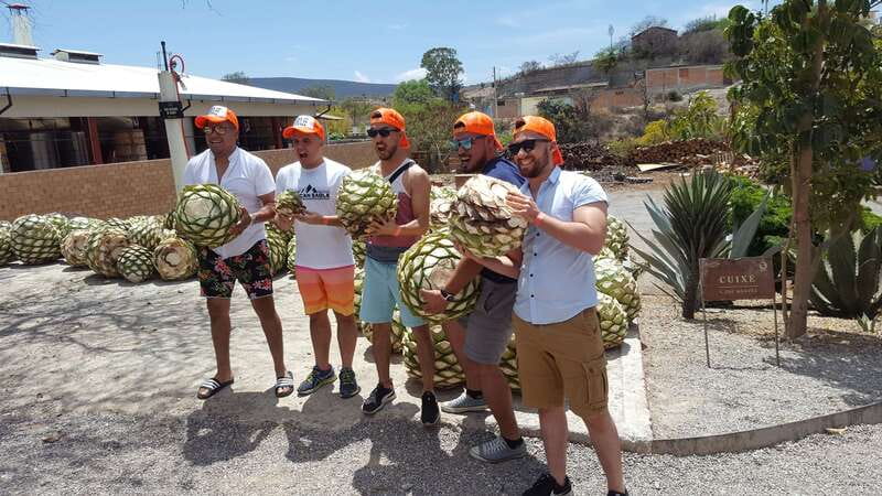 Oaxaca: Mezcal Adventure - Key highlights worth planning for