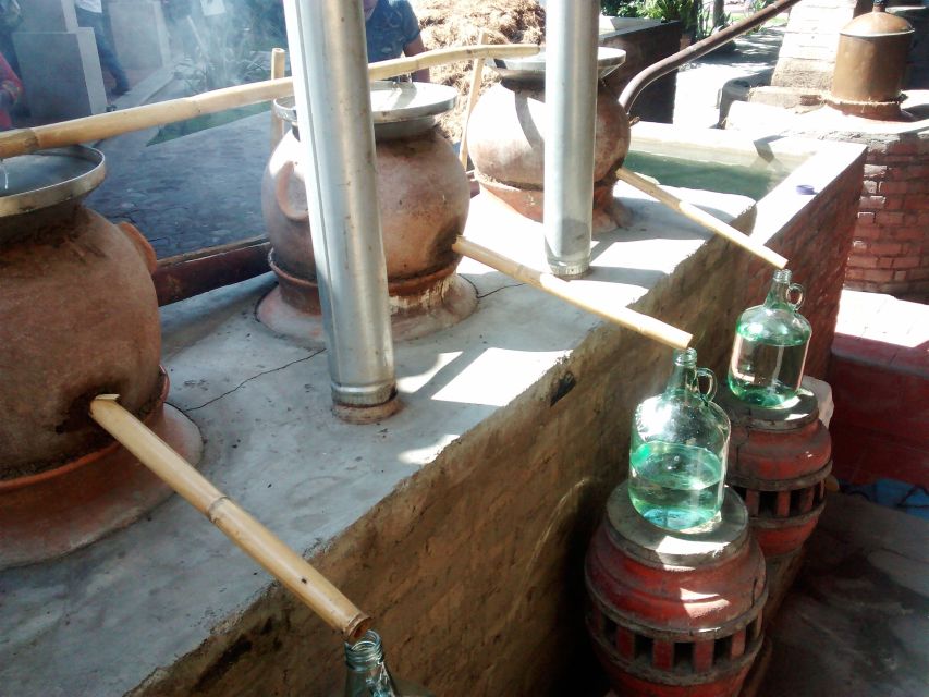 Oaxaca: Mezcal Adventure - Should you book Oaxaca: Mezcal Adventure?