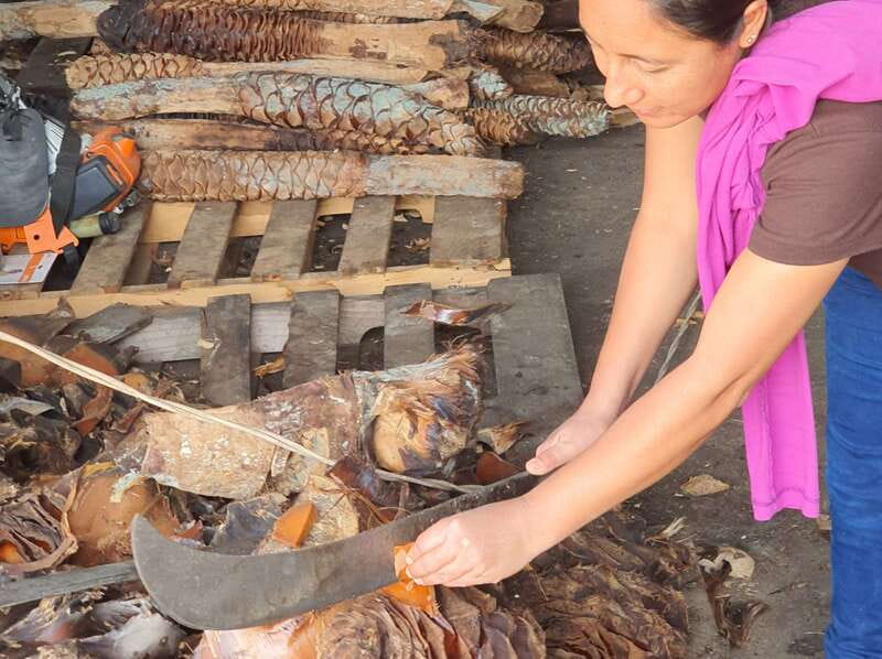 Oaxaca: Mezcal Adventure - Who should book this mezcal tour from Oaxaca