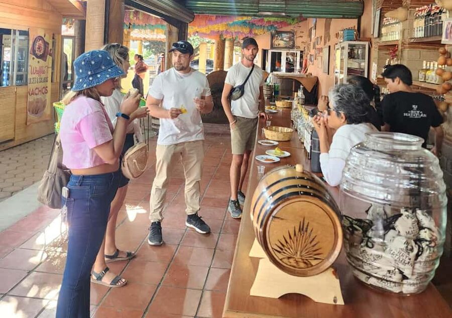 Oaxaca: Tule, Mitla & Hierve el Agua, & Mezcal Tour - Key highlights to look forward to
